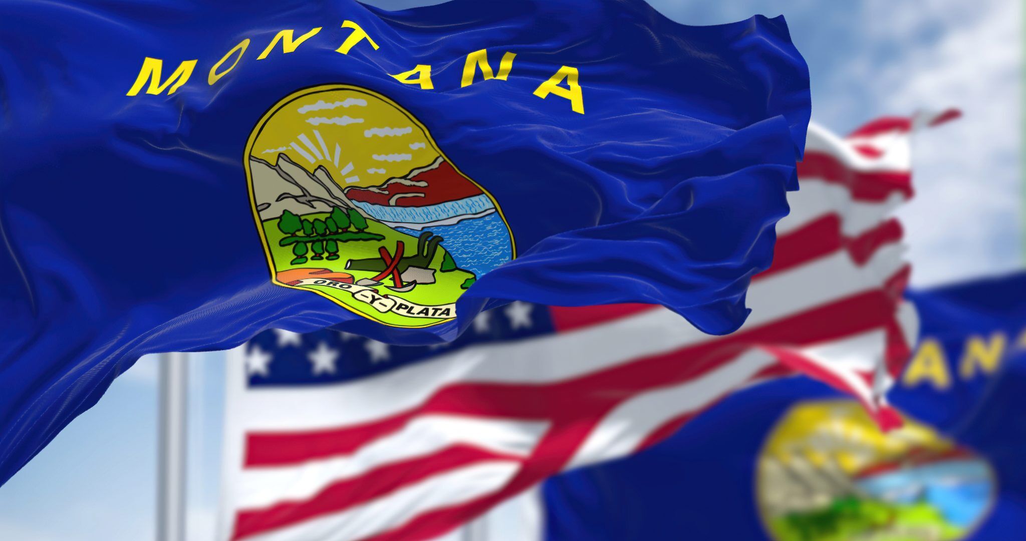State Flag of Montana