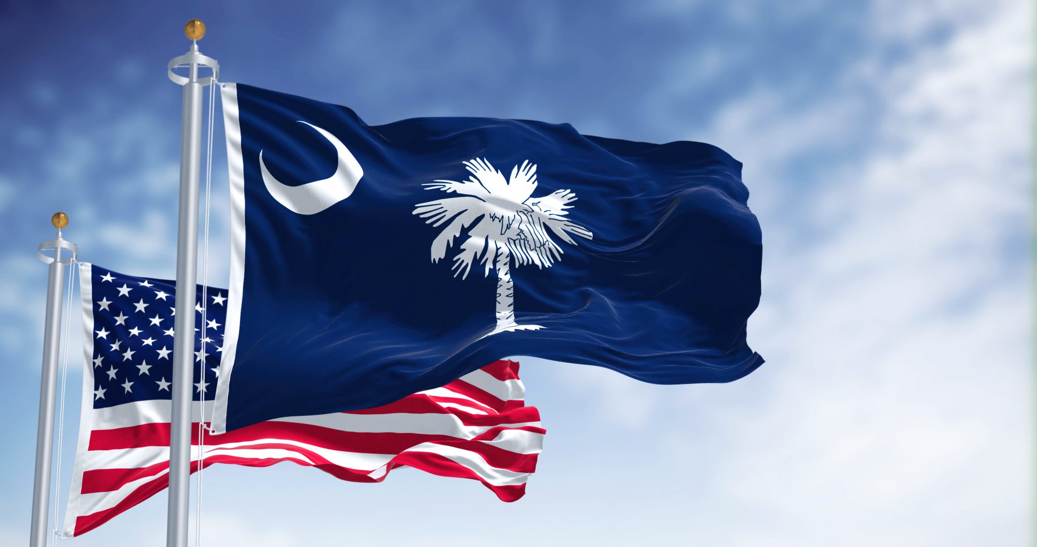 State Flag of South Carolina