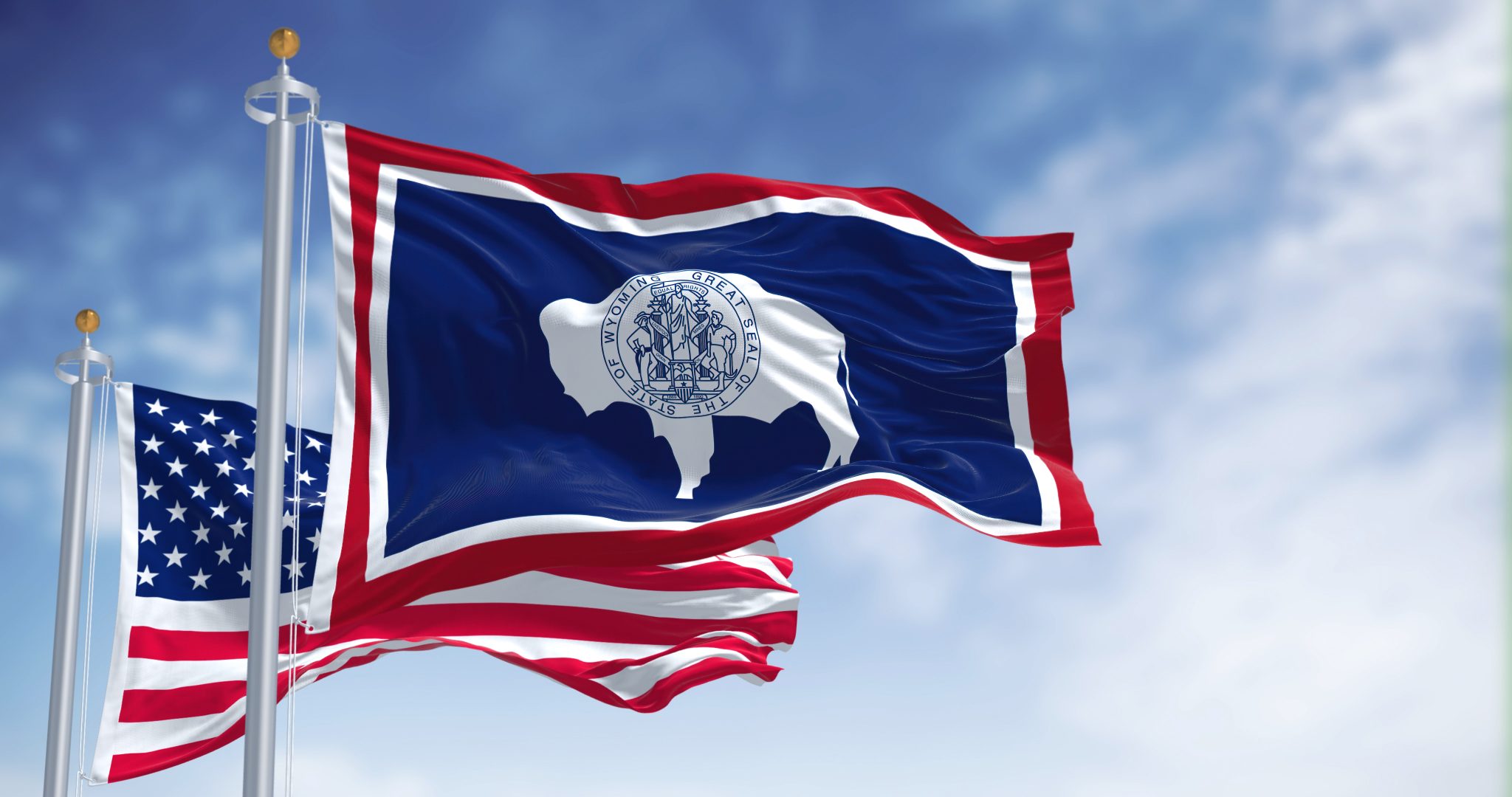 State Flag of Wyoming