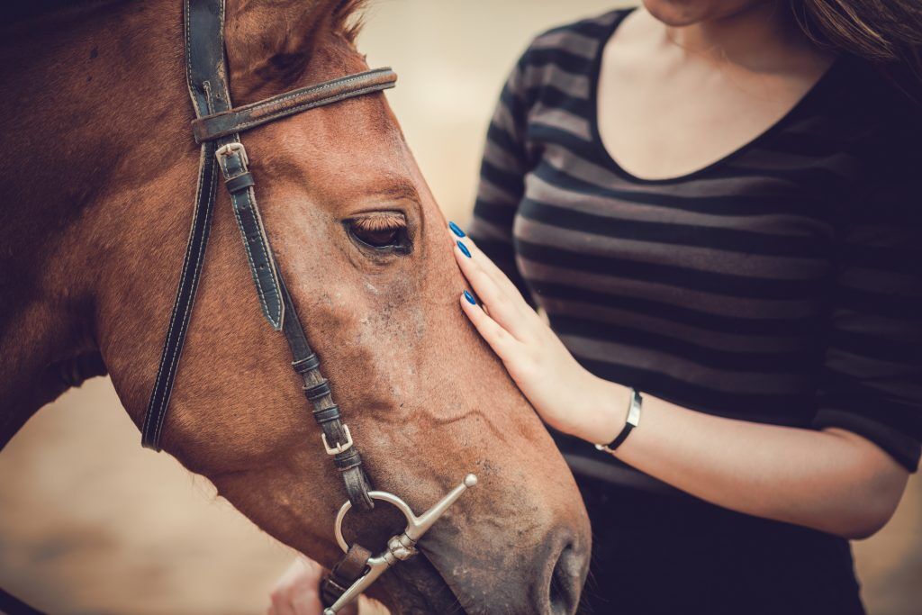 An overview of experiential and alternative therapies used in addiction treatment.