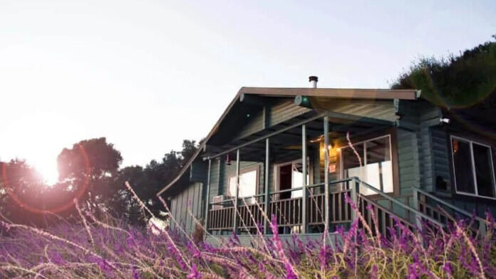 Elevate Addiction Services - Placerville