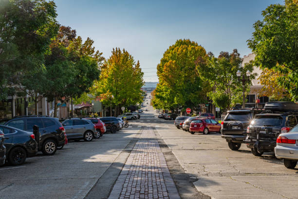 Image of https://addictionhelplineamerica.com/wp-content/uploads/2025/01/alcohol-and-drug-rehabs-in-bellingham-washington-.jpg