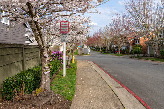 Image of https://addictionhelplineamerica.com/wp-content/uploads/2025/02/alcohol-and-drug-rehabs-in-kent-washington-.jpg