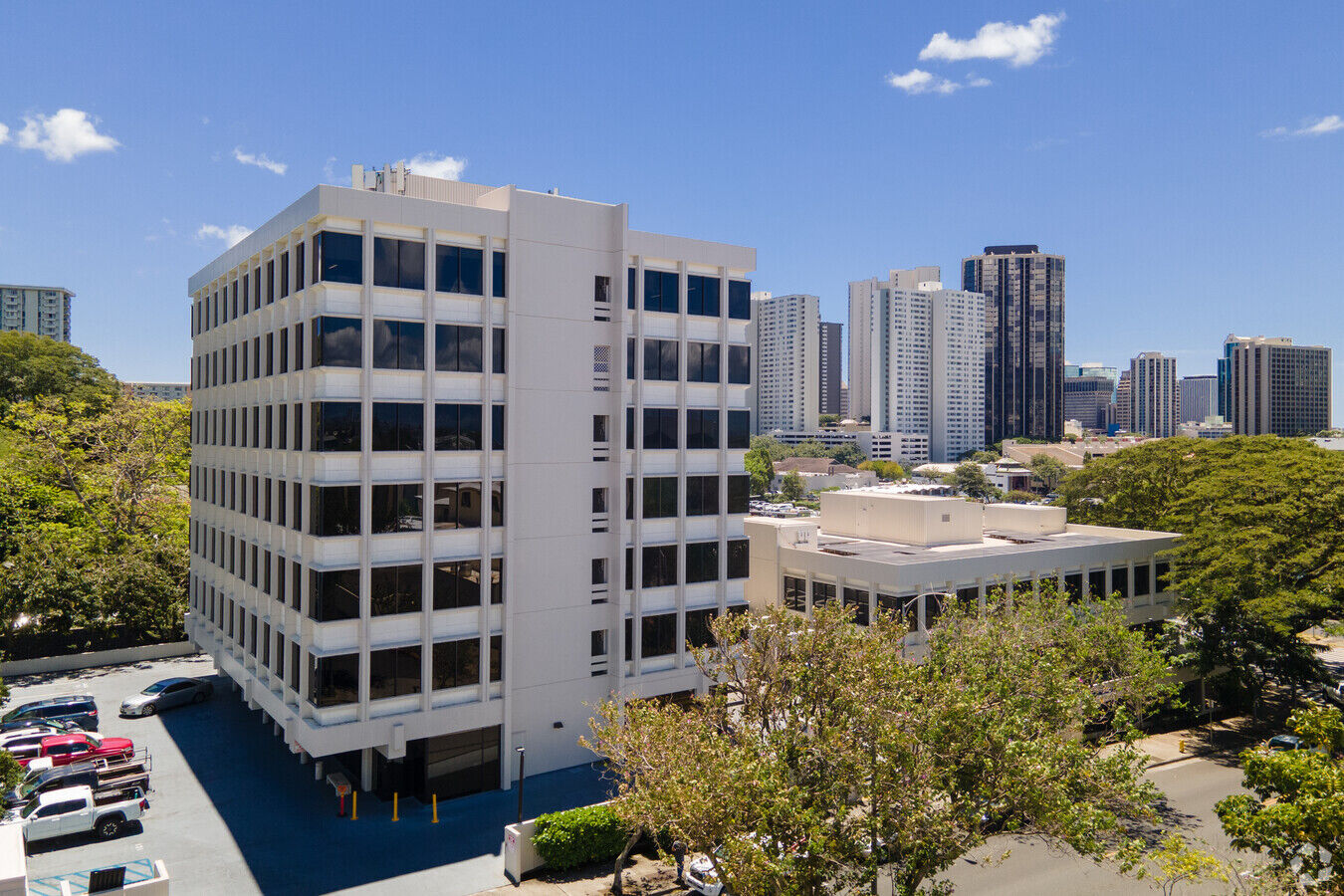 Action With Aloha LLC
