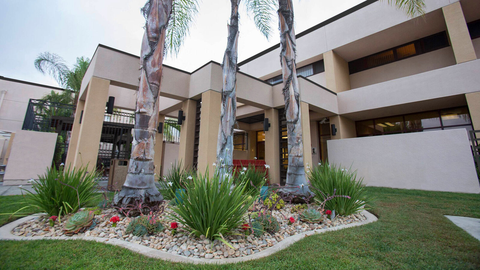 alvarado parkway institute api path san diego ca
