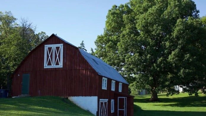 New Life Girls Ranch