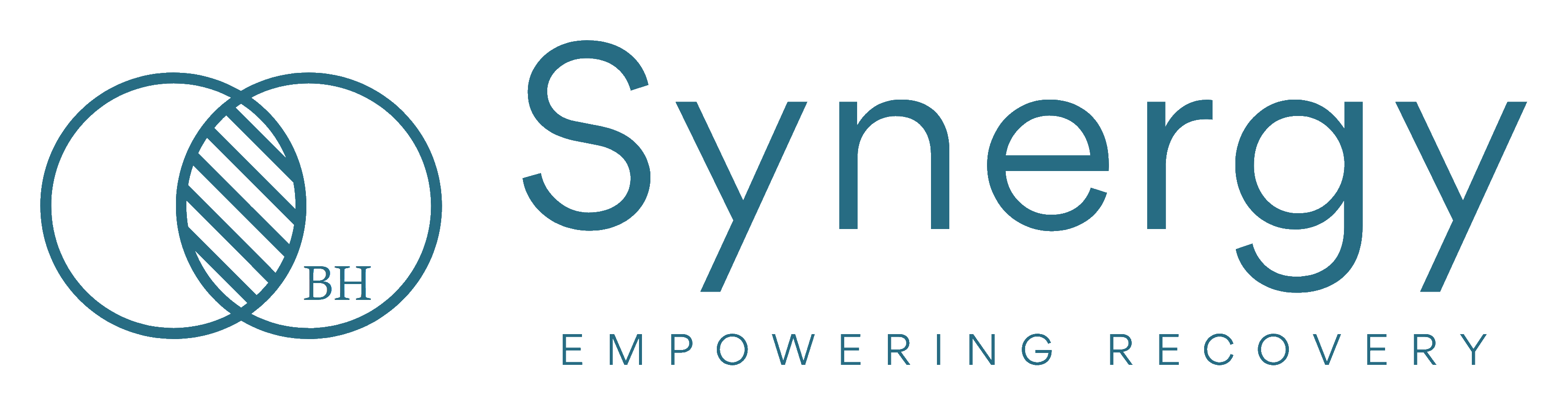 Synergy Empowering Recovery