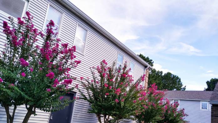 Centers for Youth and Families - Independent Living