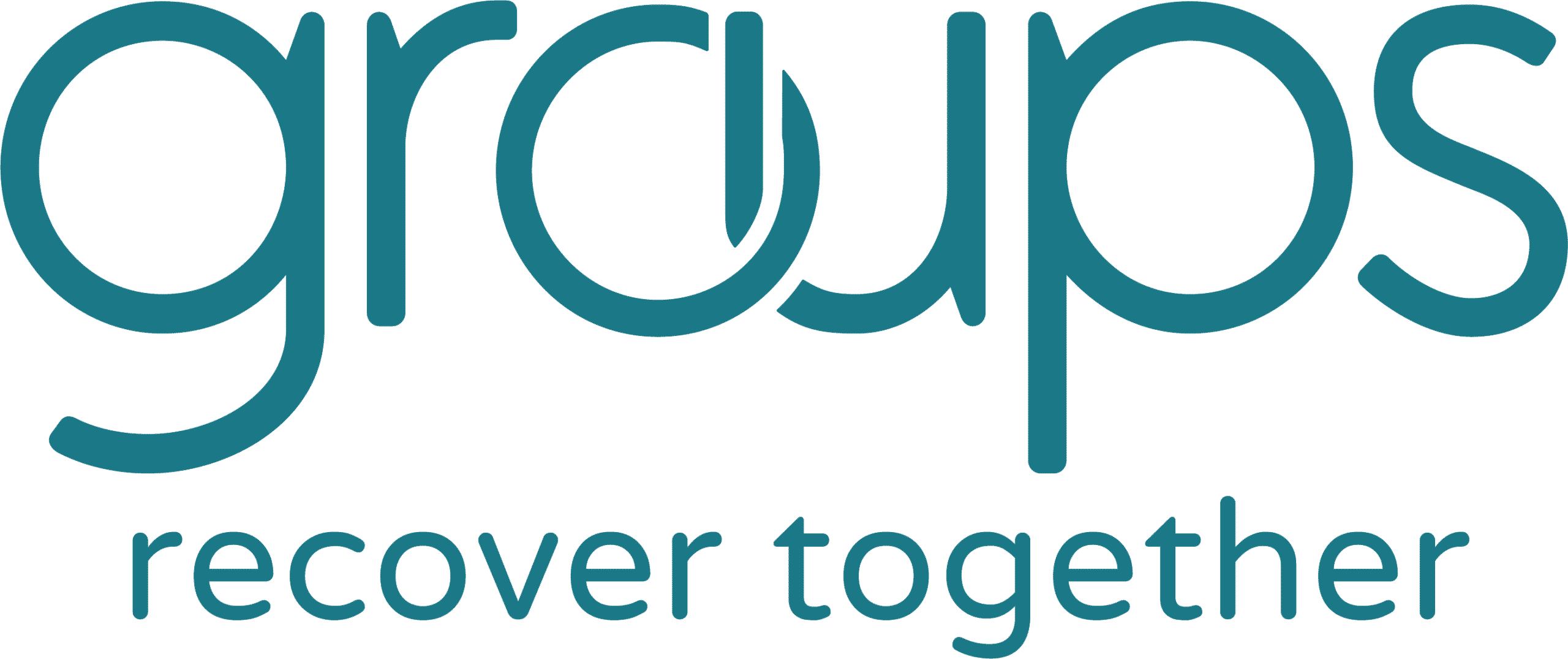 Groups Recover Together: Port Richey, FL