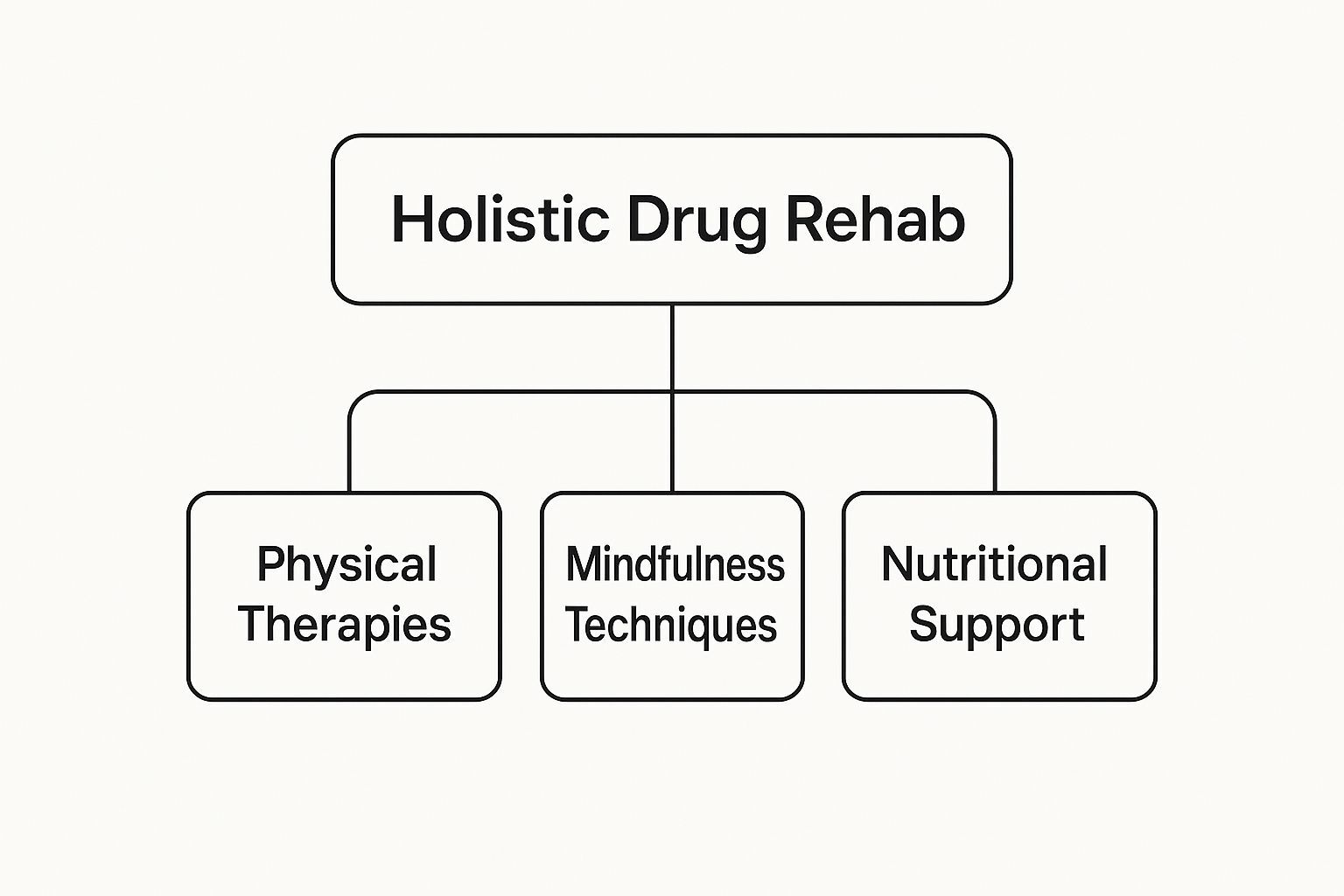 Infographic about holistic drug rehab
