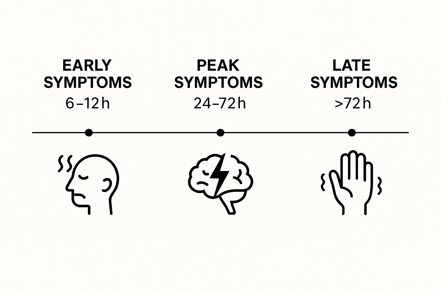 Infographic about alcohol withdrawal timeline